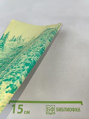 История лесной промышленности России