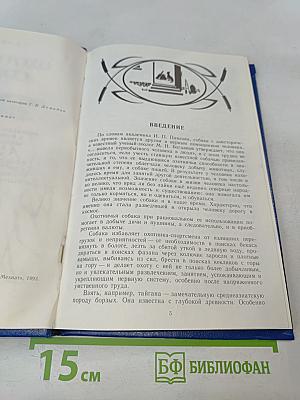 Охотничьи собаки