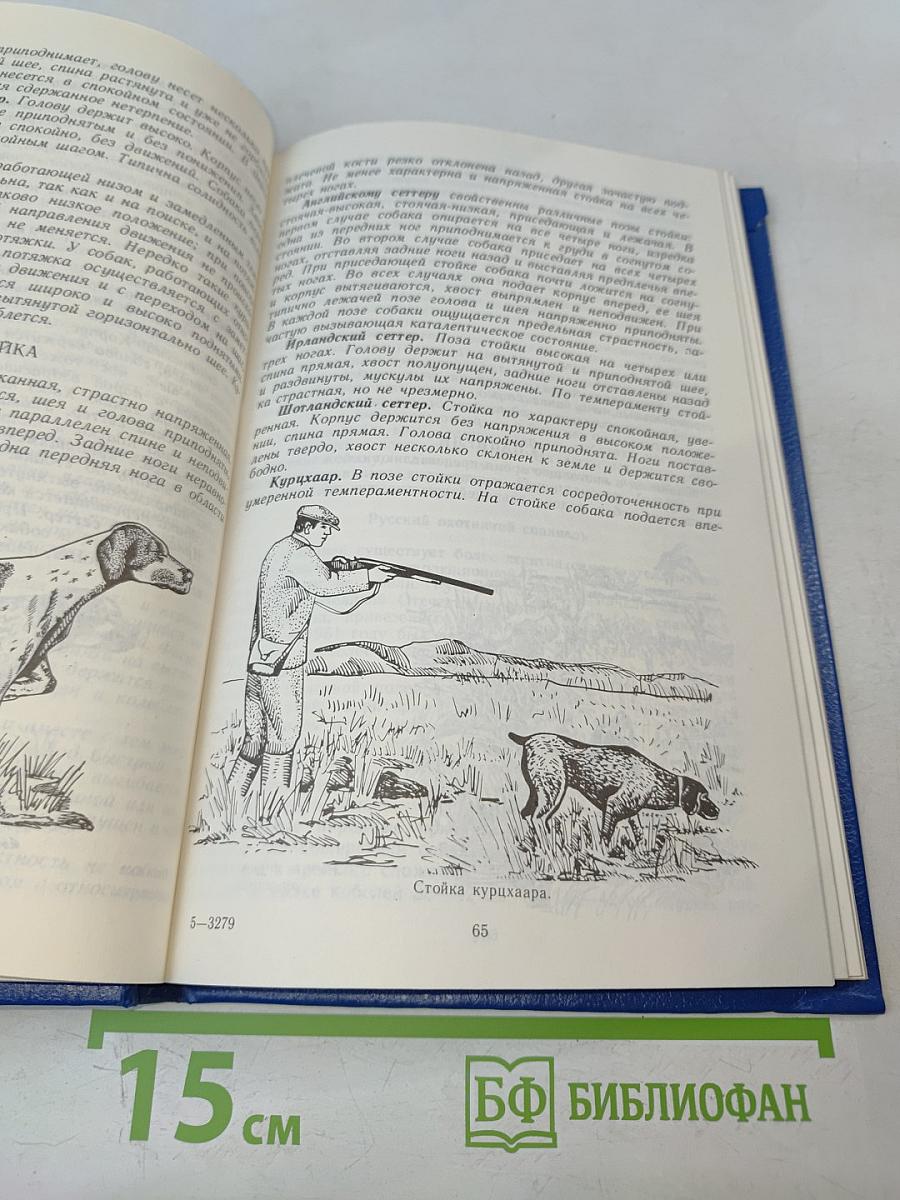 Охотничьи собаки