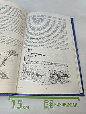 Охотничьи собаки