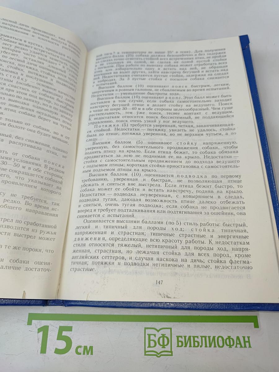 Охотничьи собаки