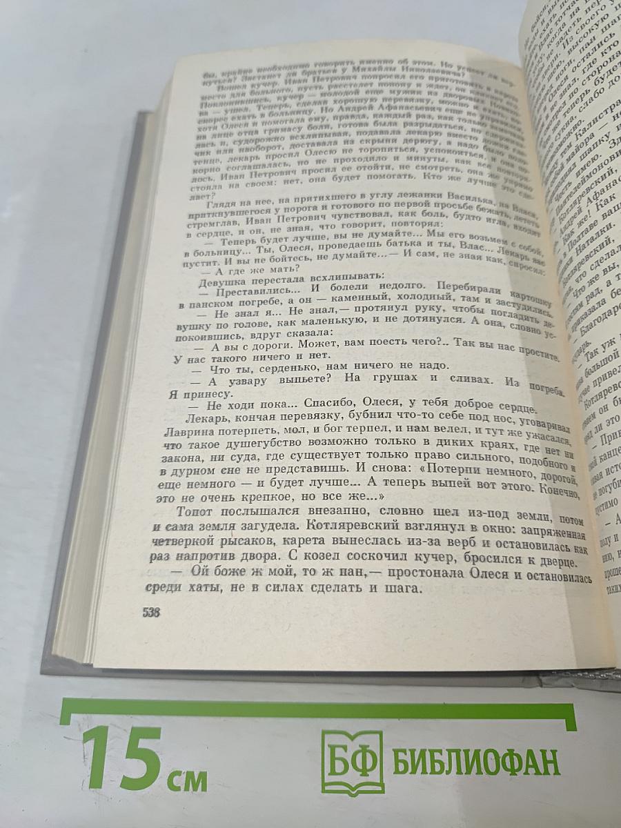 Веселый мудрец