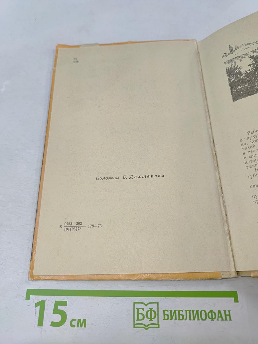 Слепой музыкант