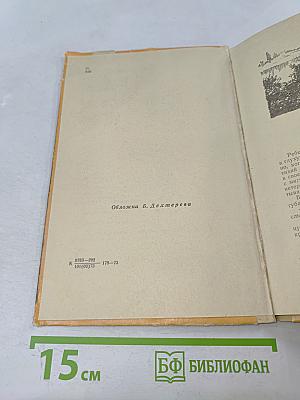 Слепой музыкант