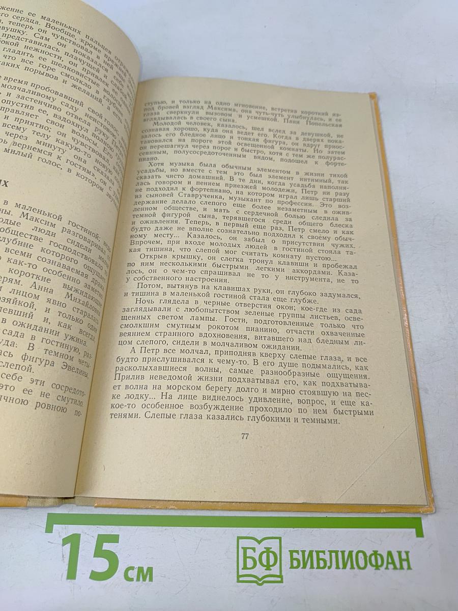 Слепой музыкант