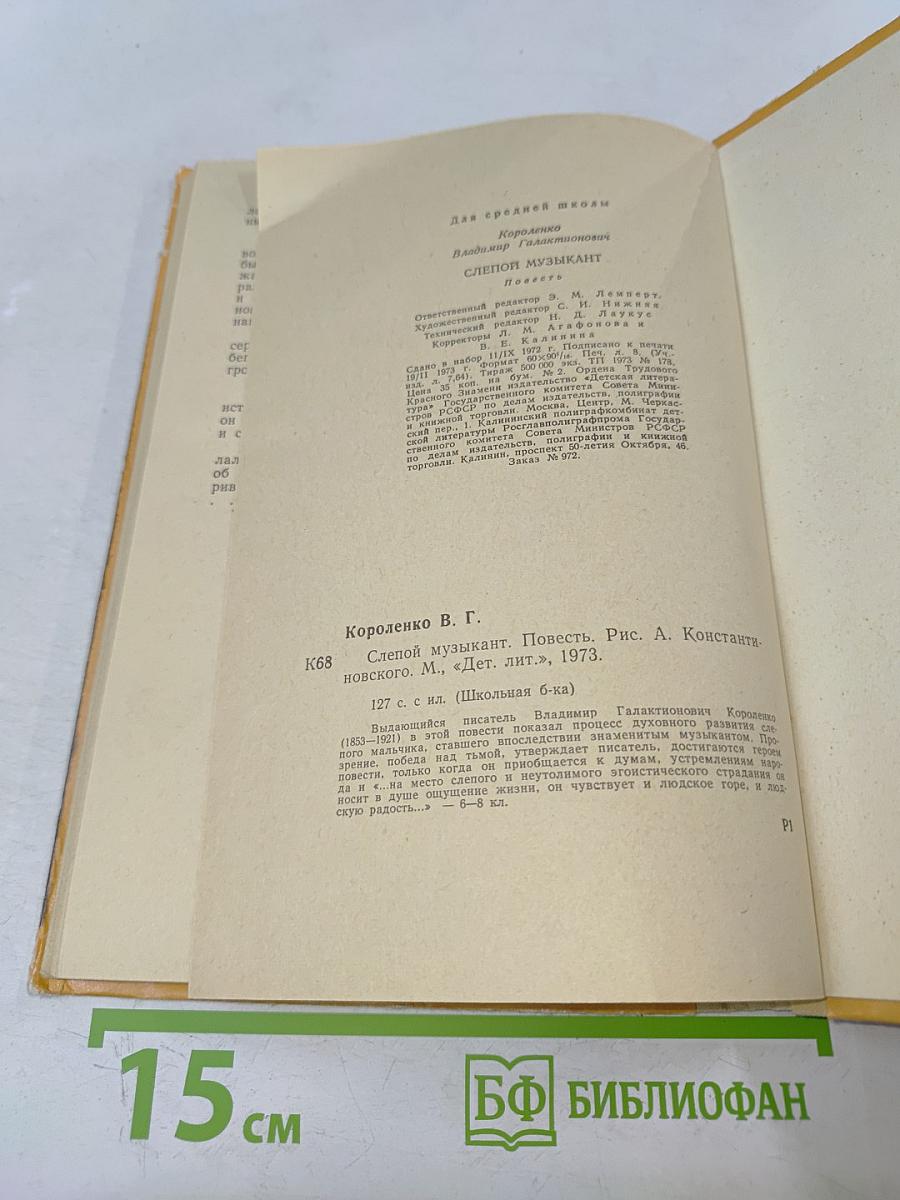 Слепой музыкант