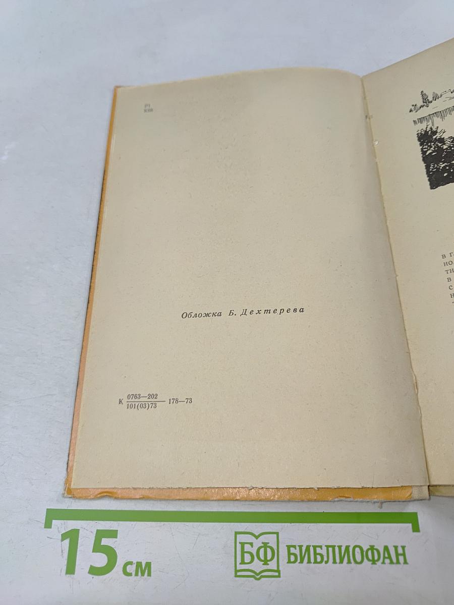 Слепой музыкант