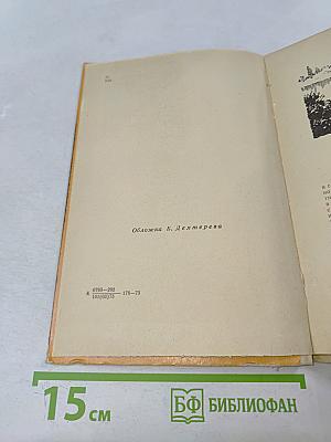 Слепой музыкант