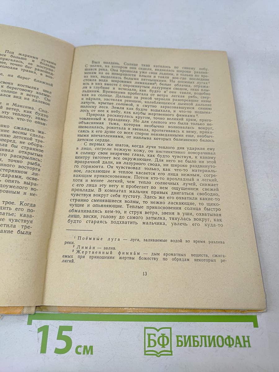 Слепой музыкант