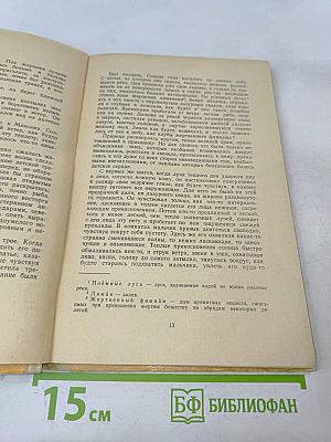 Слепой музыкант