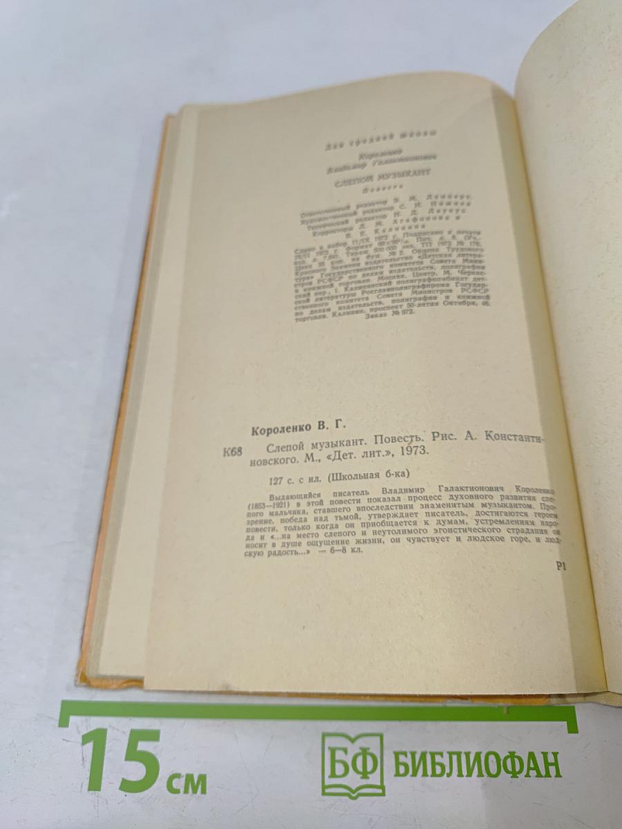 Слепой музыкант