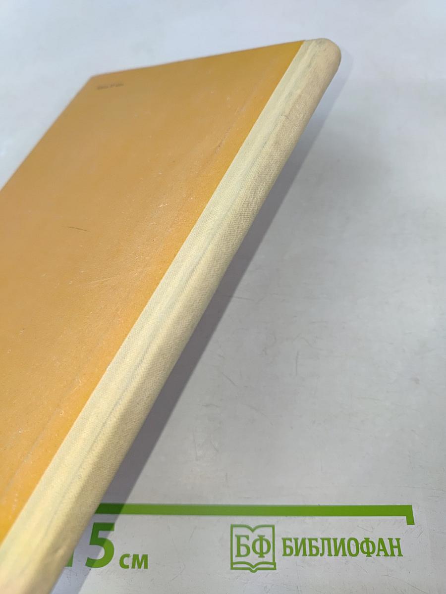 Слепой музыкант