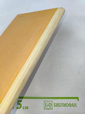 Слепой музыкант