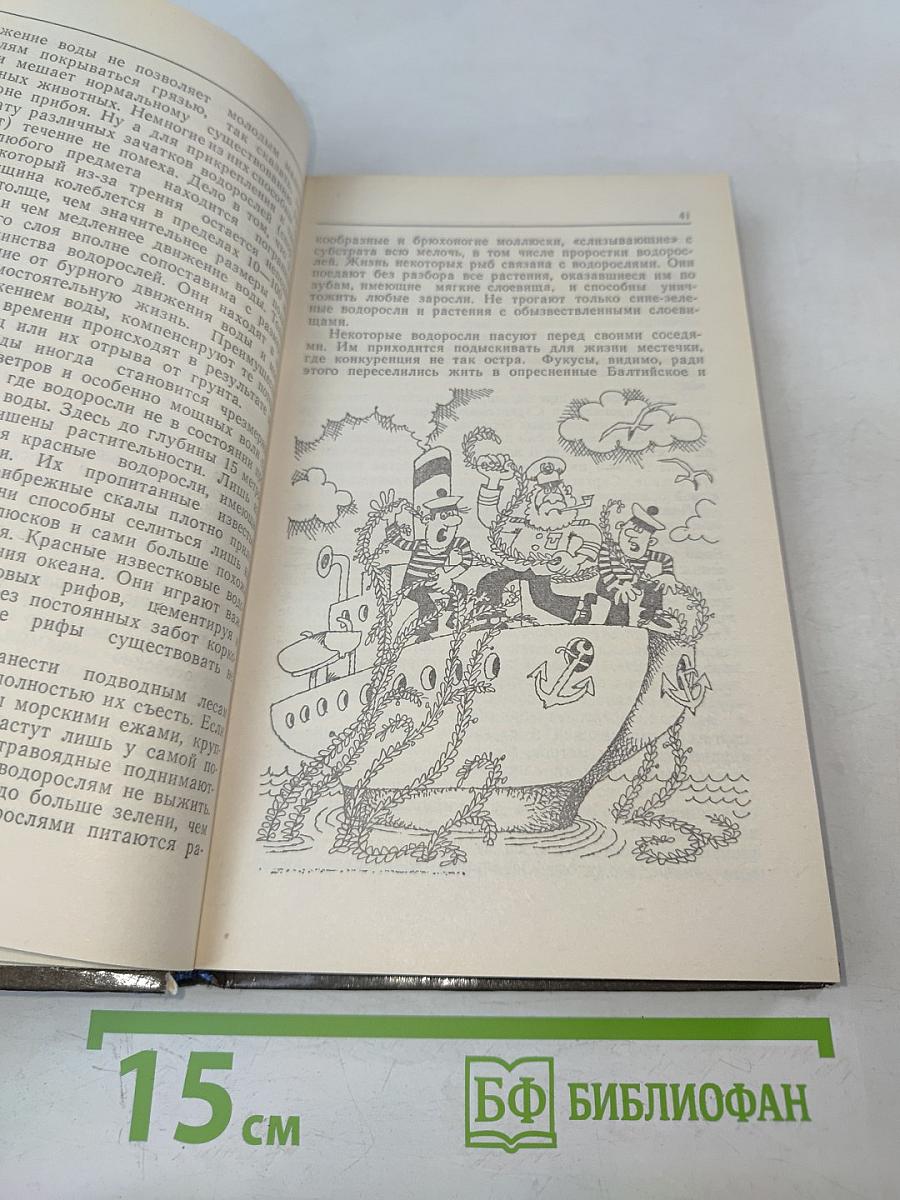 Жизнь океанских глубин