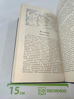 Жизнь океанских глубин