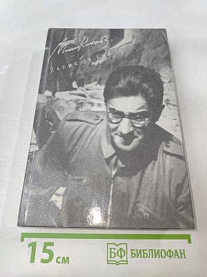 Михаил Кольцов, Каким он был