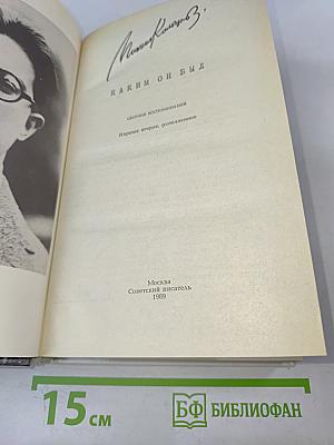 Михаил Кольцов, Каким он был