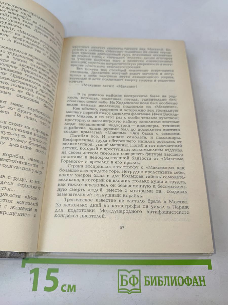 Михаил Кольцов, Каким он был