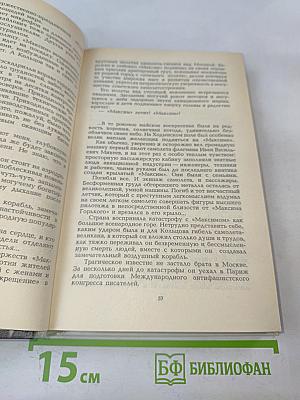 Михаил Кольцов, Каким он был