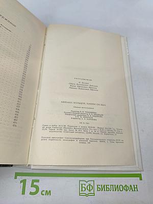 Михаил Кольцов, Каким он был