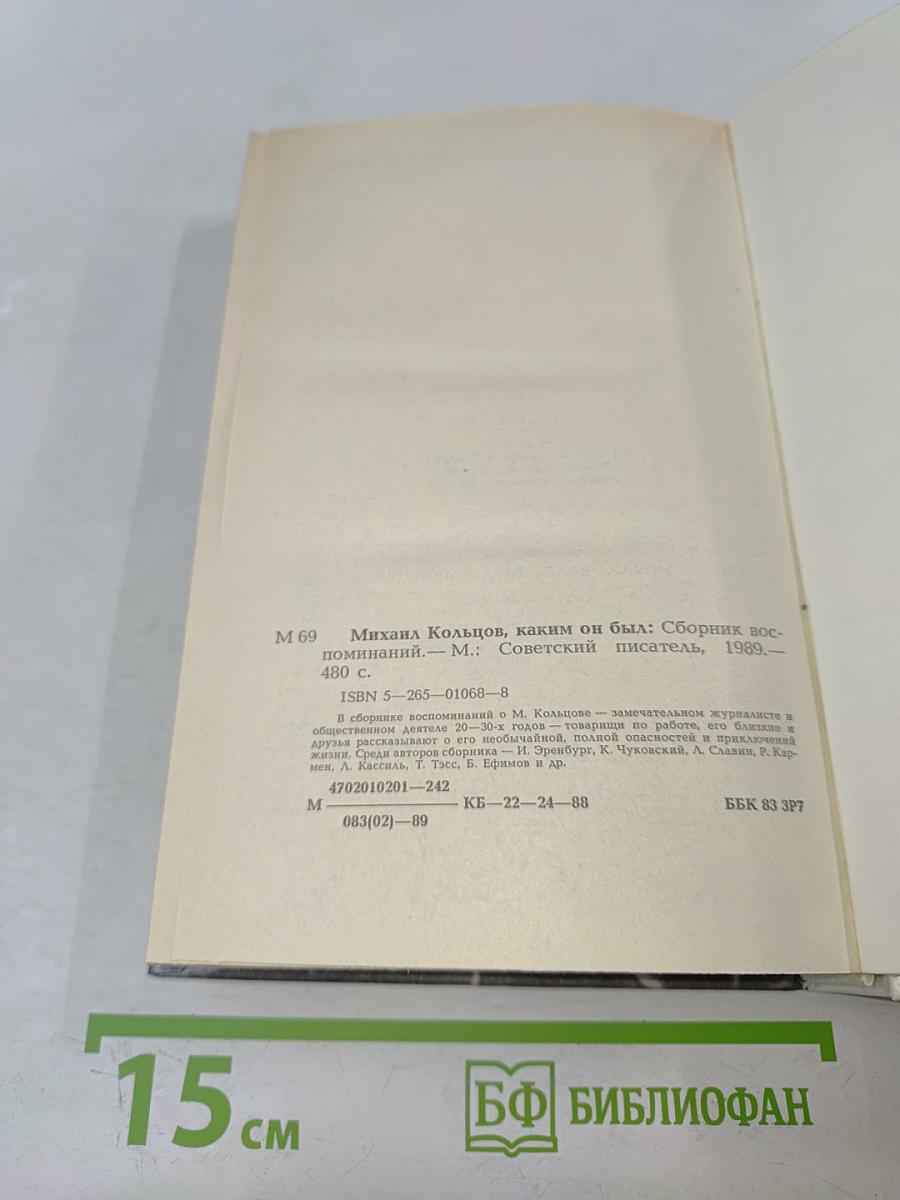 Михаил Кольцов, Каким он был