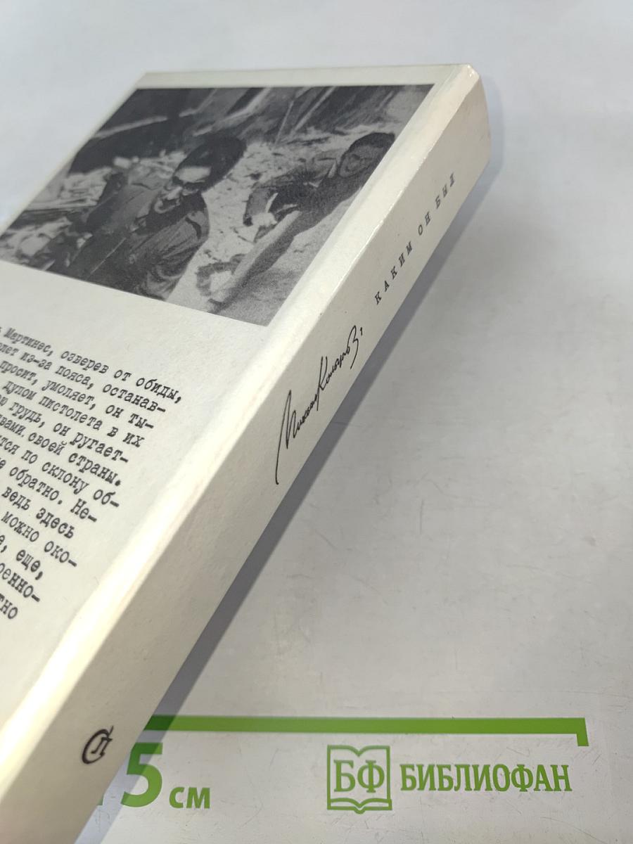 Михаил Кольцов, Каким он был