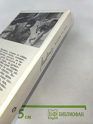 Михаил Кольцов, Каким он был