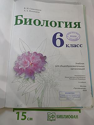 Биология 6 класс