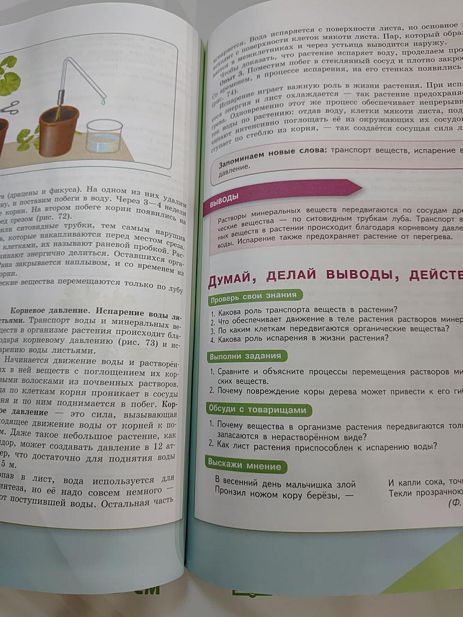 Биология 6 класс