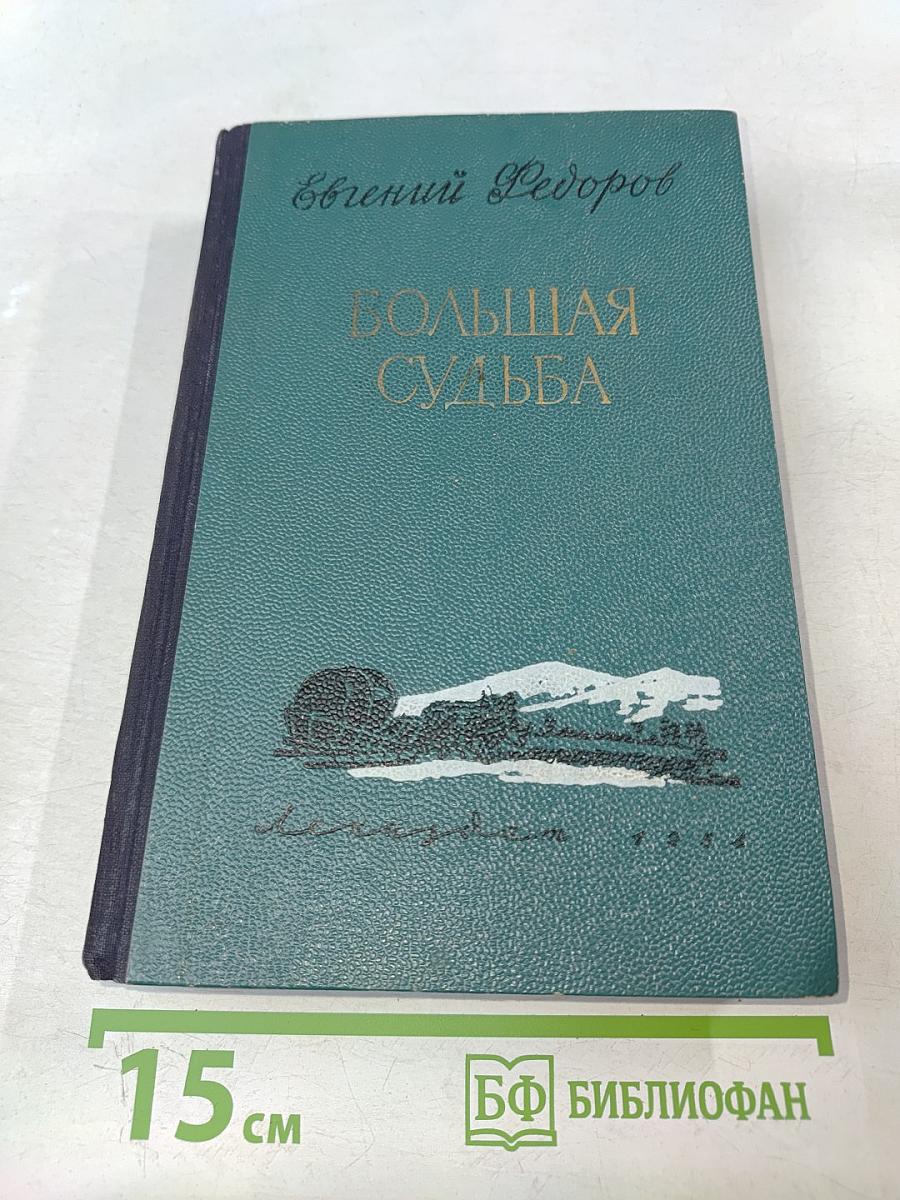Большая судьба