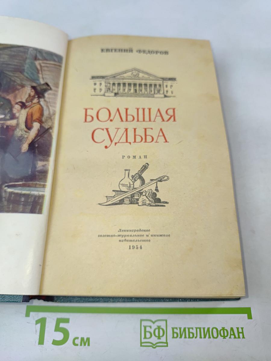Большая судьба