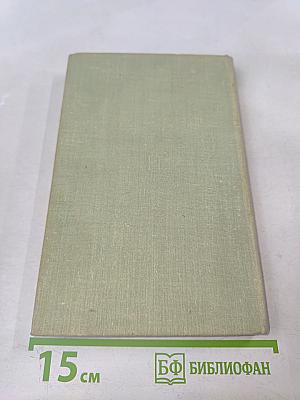 Год рождения 1917