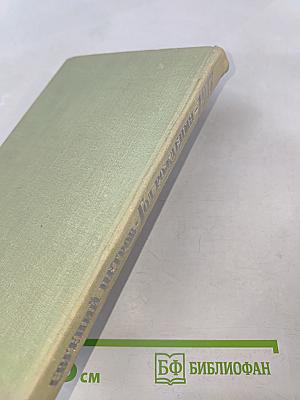 Год рождения 1917