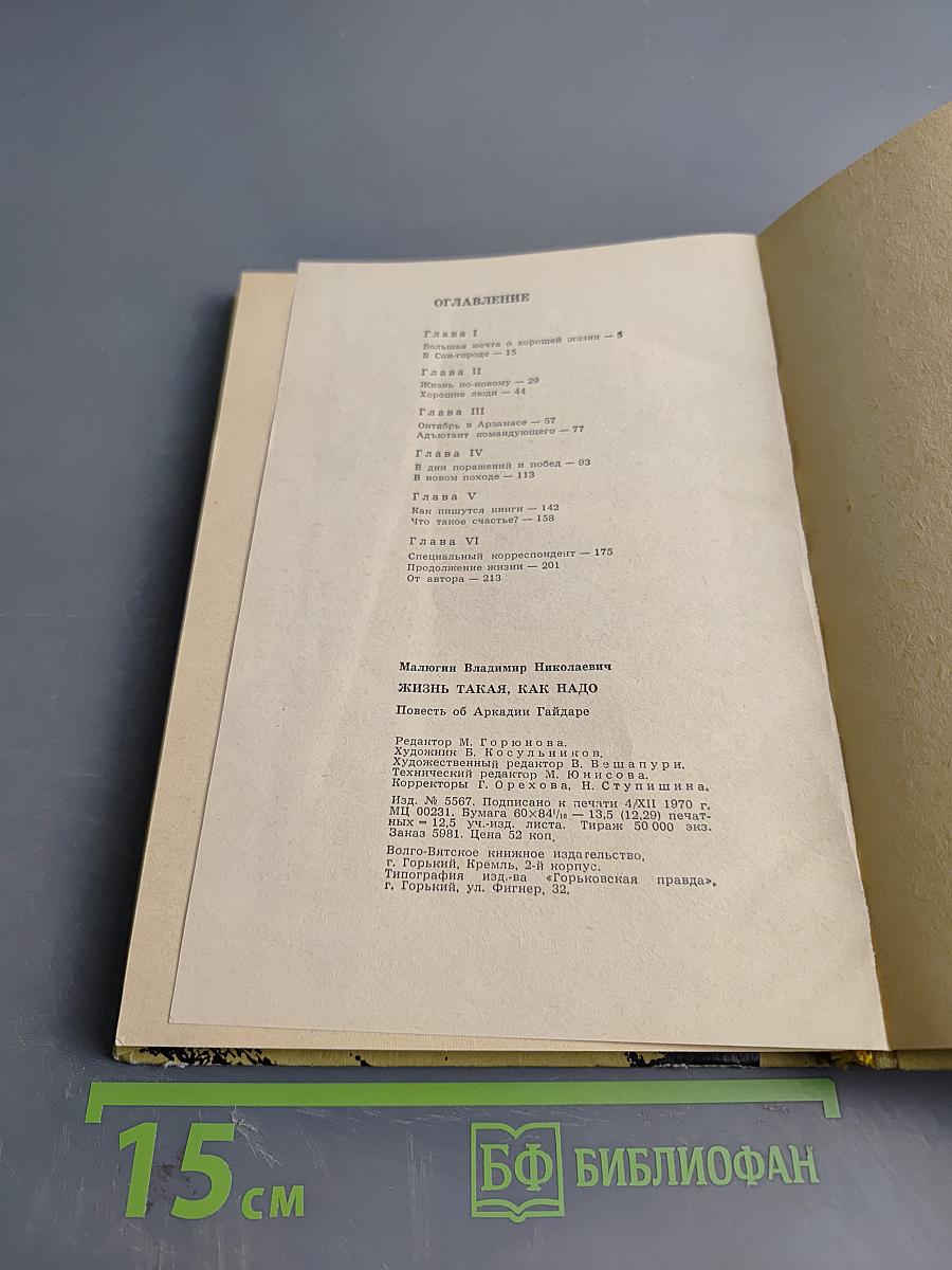 Жизнь такая, как надо