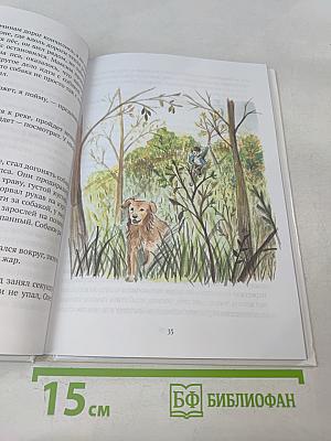 Звёздный Странник. 1 часть