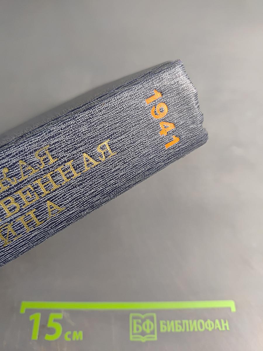 Великая Отечественная война 1941-1945: Краткий научно-популярный очерк