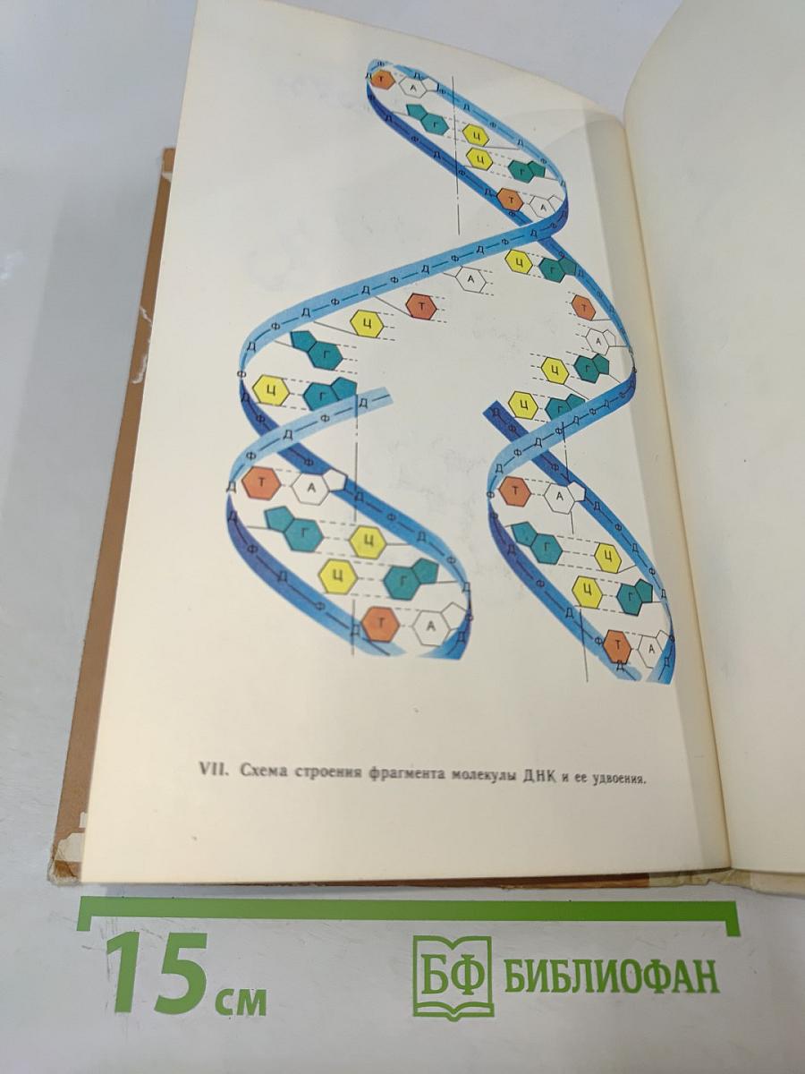 Методика формирования у учащихся основных понятий органической химии