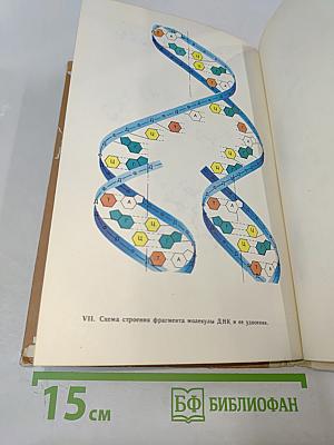 Методика формирования у учащихся основных понятий органической химии
