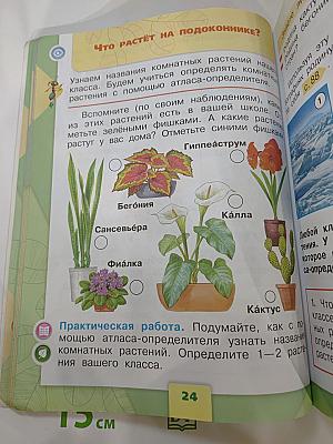 Окружающий мир 1 класс Часть 1