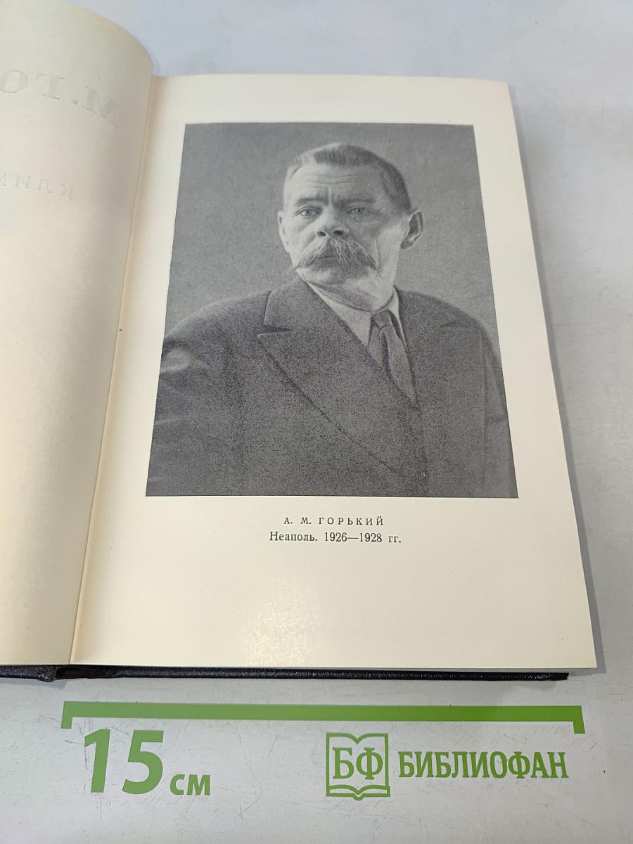 Жизнь Клима Самгина. Том 20