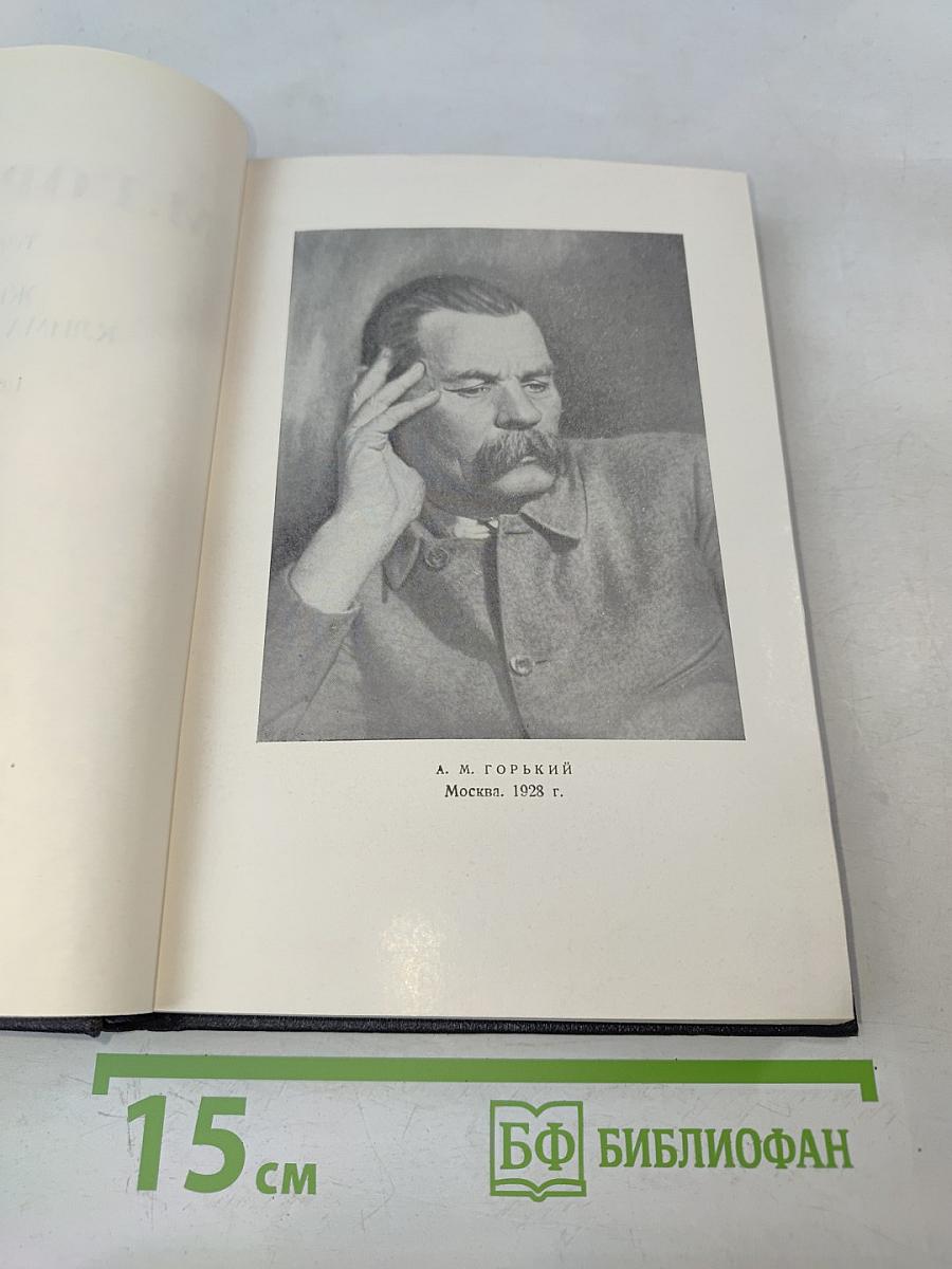 Жизнь Клима Самгина. Том 21