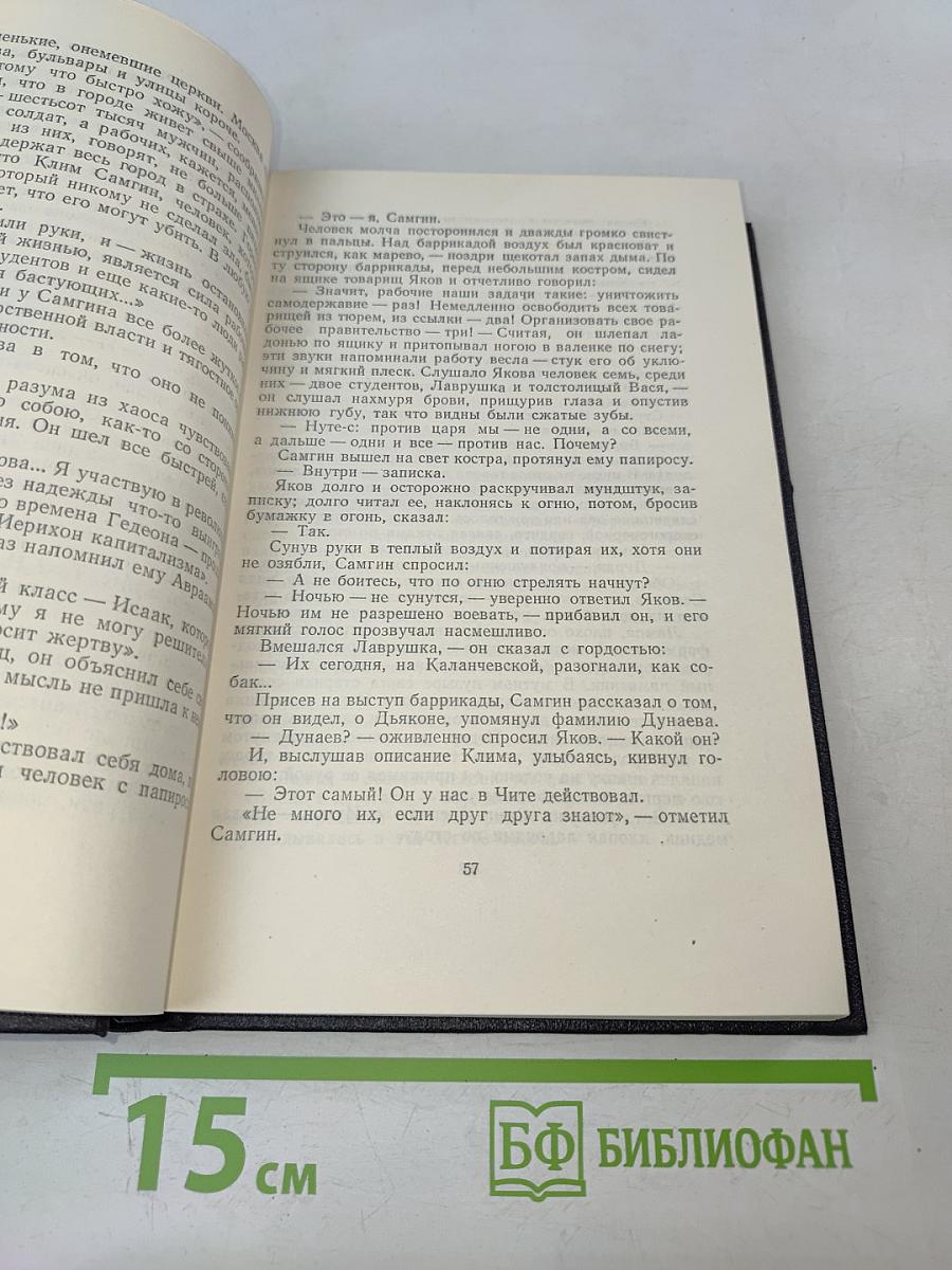 Жизнь Клима Самгина. Том 21