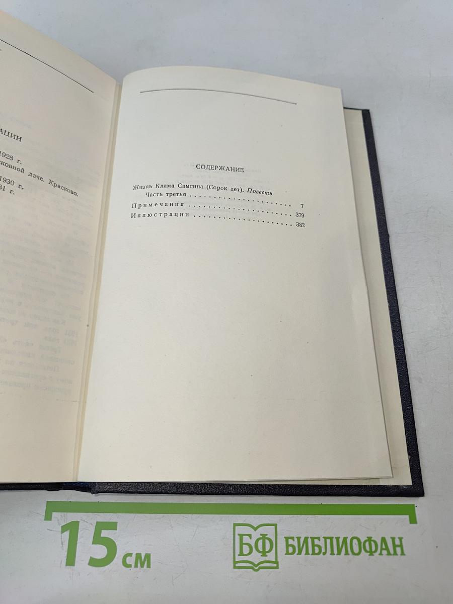 Жизнь Клима Самгина. Том 21