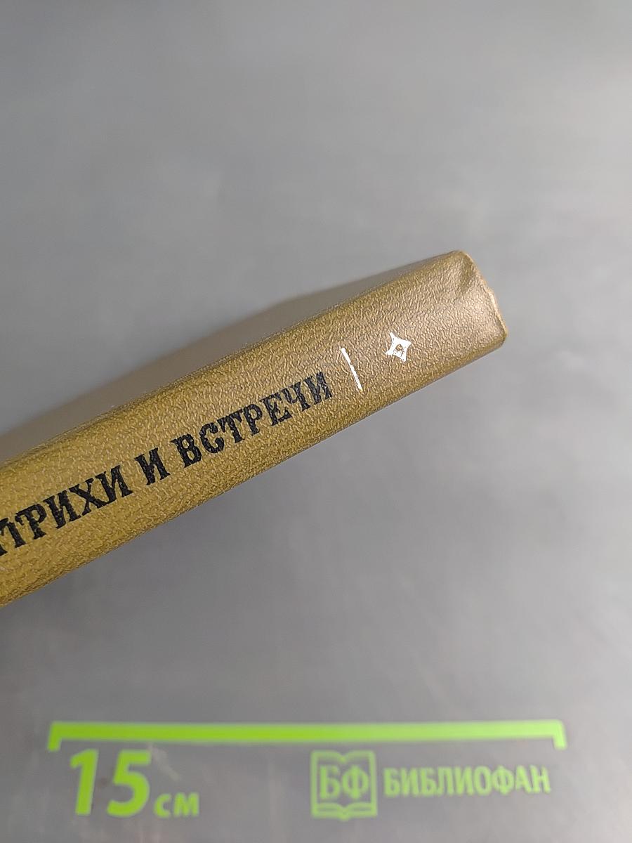 Штрихи и встречи