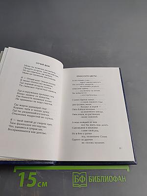 Черная речка