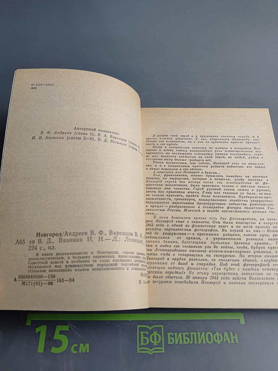 Новгород: Краткий очерк истории города