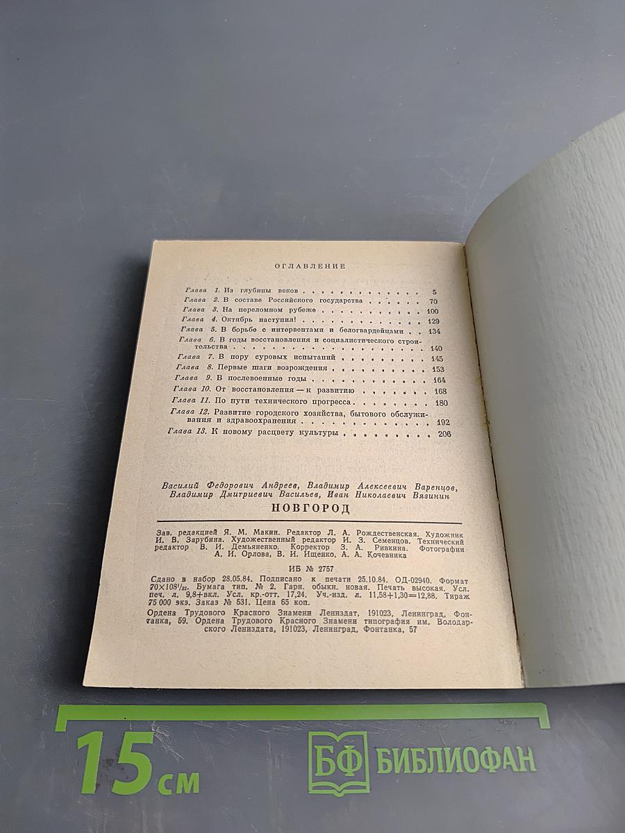 Новгород: Краткий очерк истории города