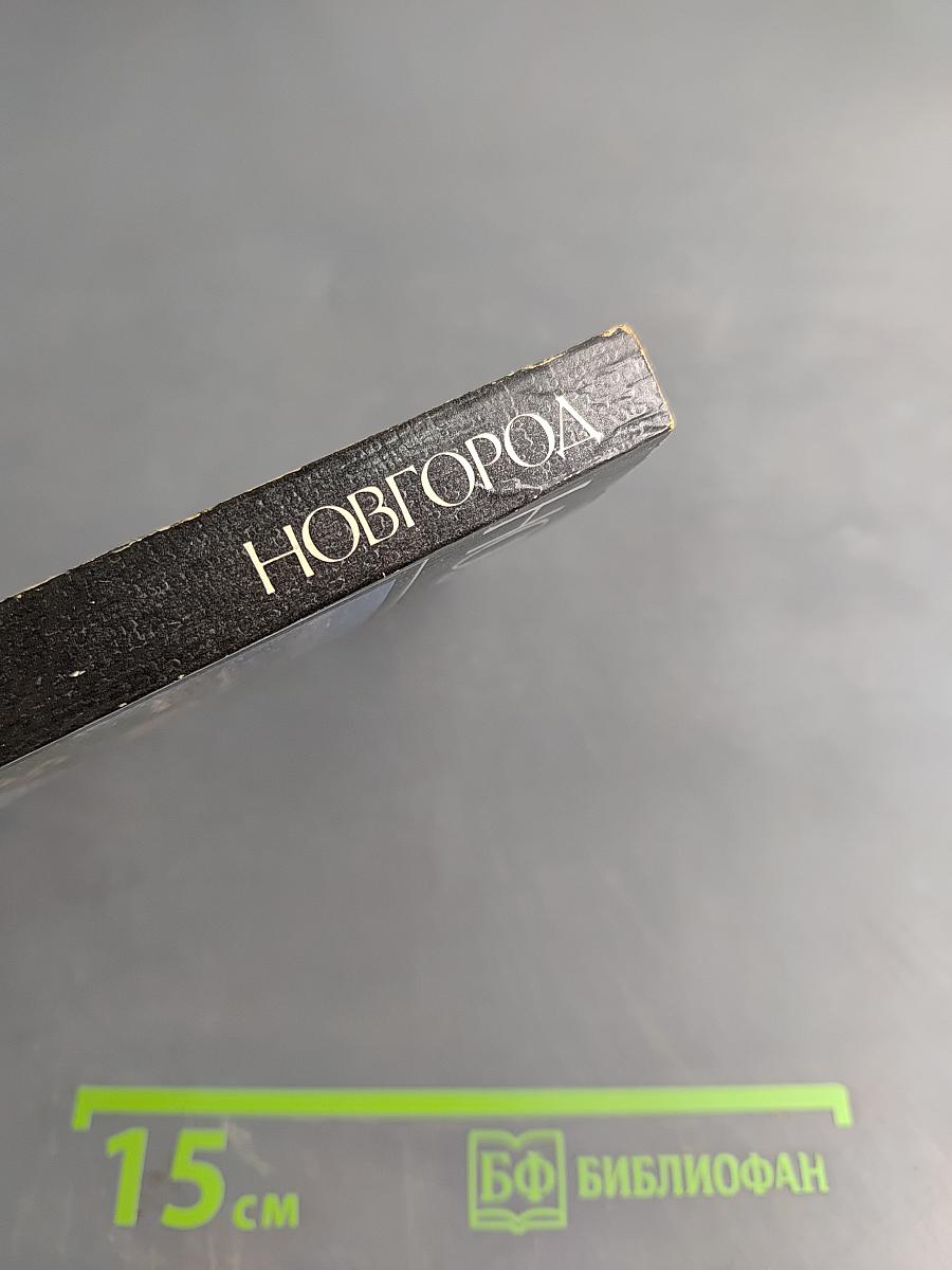 Новгород: Краткий очерк истории города