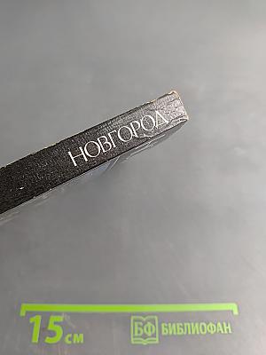 Новгород: Краткий очерк истории города