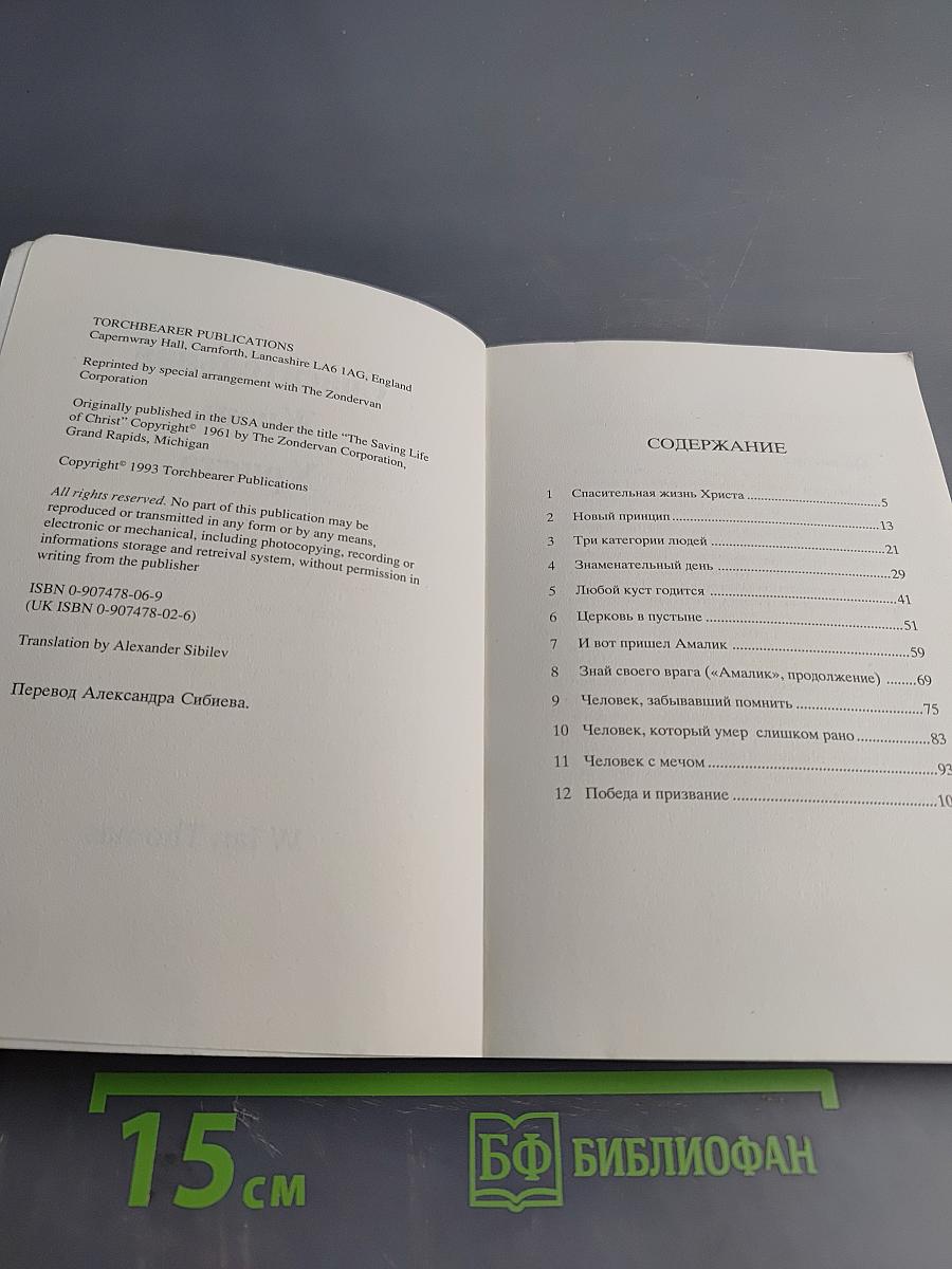 Спасительная Жизнь Христа